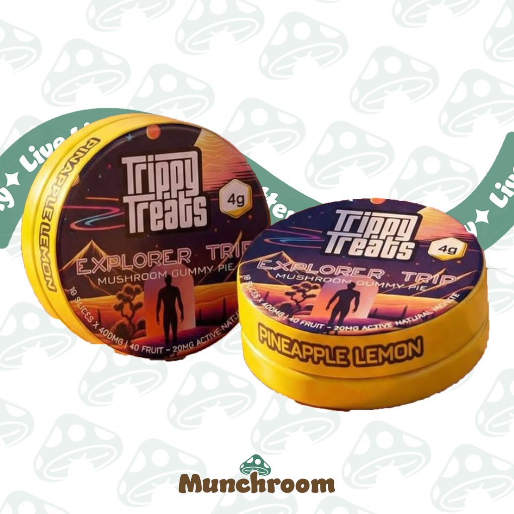 Trippy Treats Gummy Pie - 4g