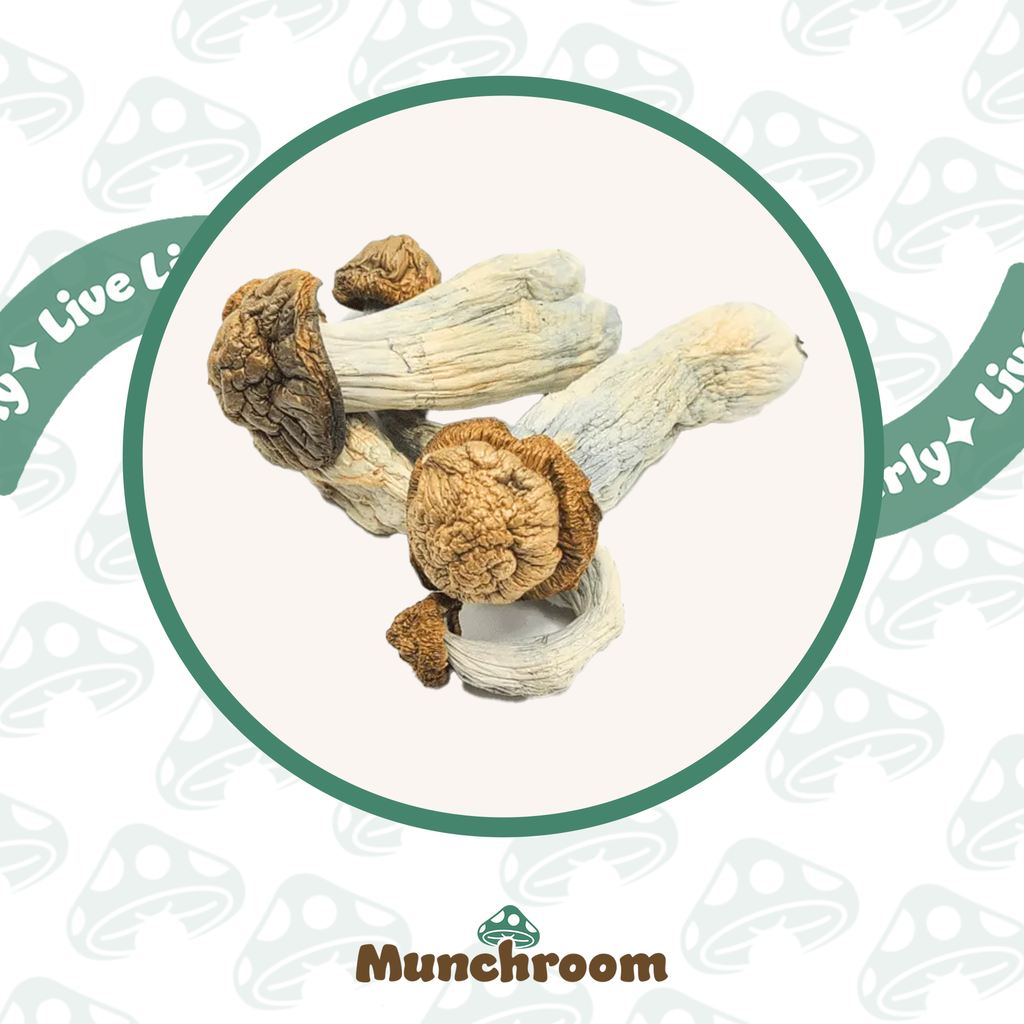 Jedi Mind Fuck (JEDI) (3.5G)
