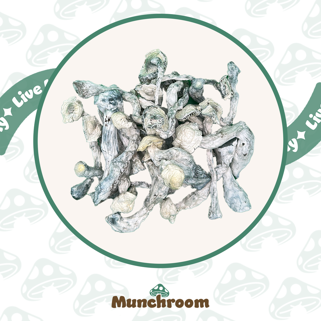 Albino Jedi Mind Fuck (AJMF) (3.5G)