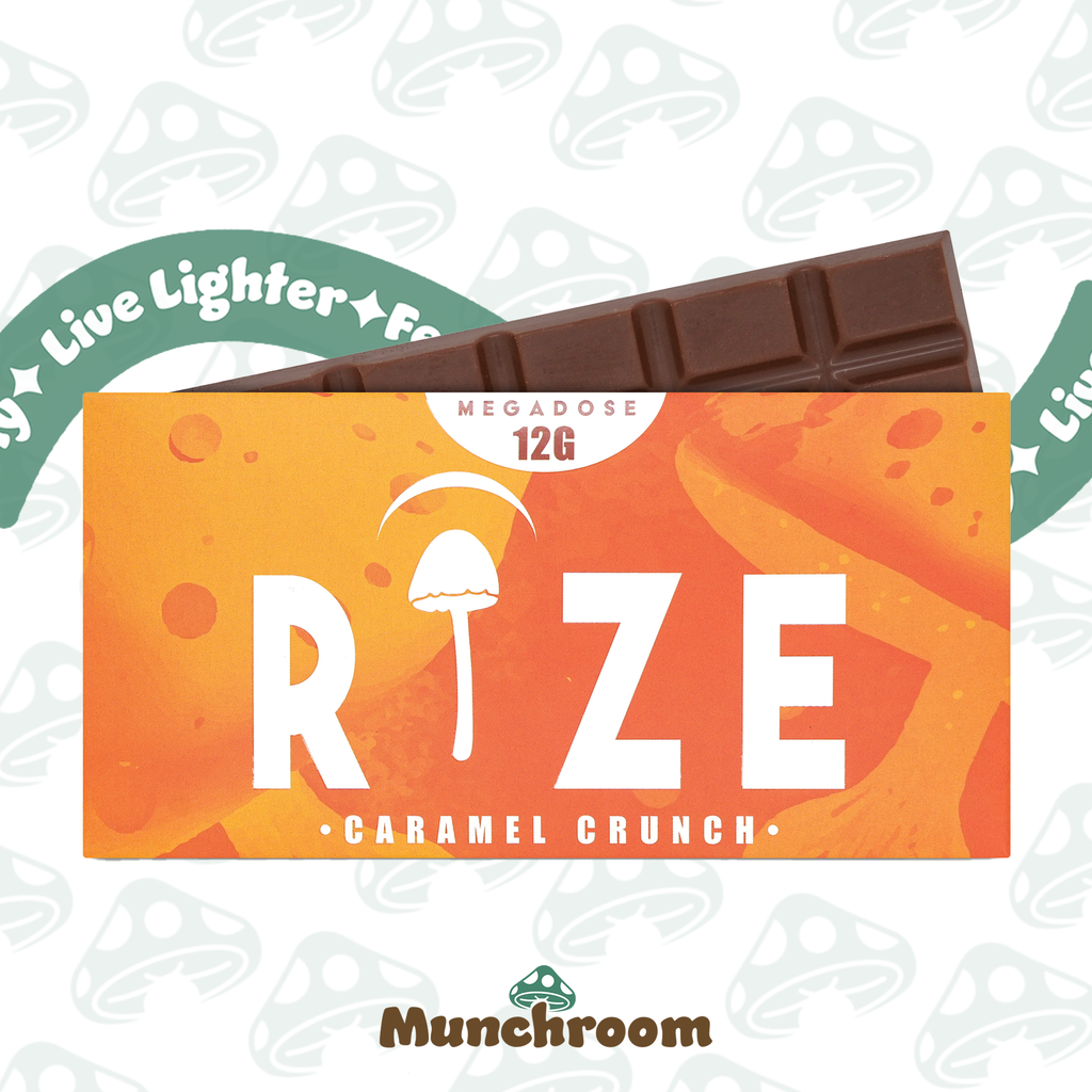 Rize Chocolate Bars - 12g