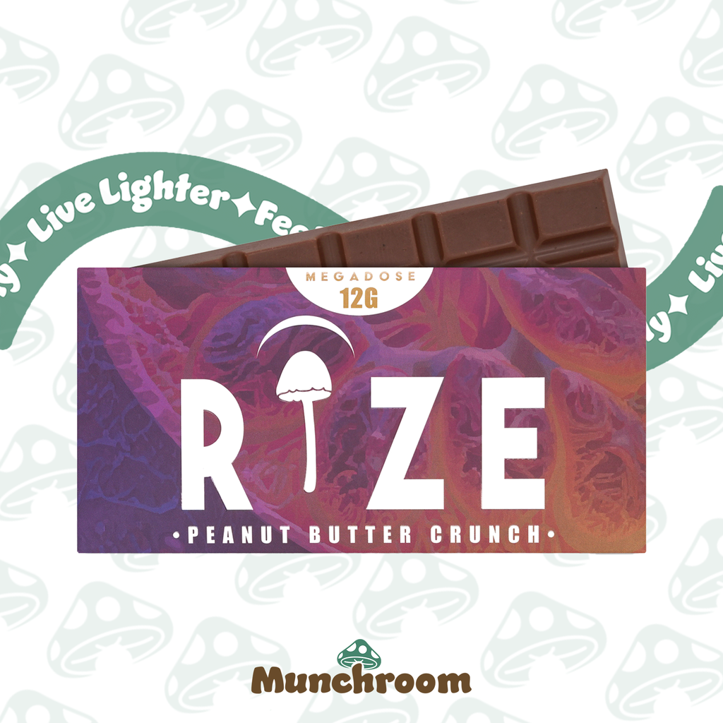 Rize Chocolate Bars - 12g